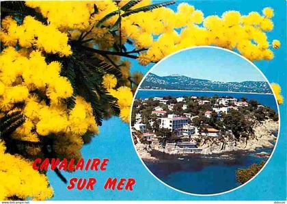 83 - Cavalaire sur Mer - Le Cap - CPM - Voir Scans Recto-Verso