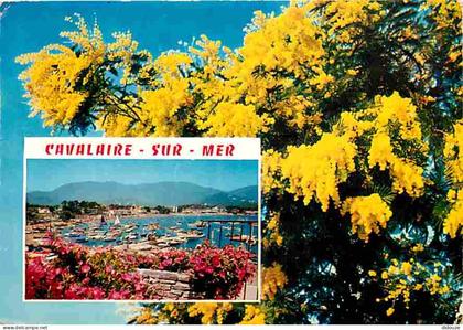 83 - Cavalaire sur Mer - Vue Générale - Fleurs - CPM - Voir Scans Recto-Verso