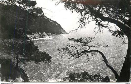CPM Cavalaire-Sur-Mer (Var) Pointe de la Vigie