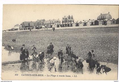 Cayeux-sur-Mer - La plage à marée basse