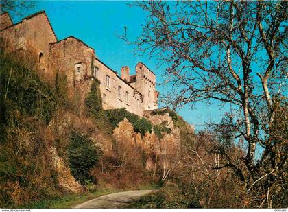 82 - Caylus - La Commanderie des Templiers - CPM - Voir Scans Recto-Verso