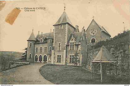 Carte Postale Ancienne - 82 - Caylus - Château de Caylus - Coté Nord - Correspondance - Voyagée en 1908 - CPA - Voir Sca