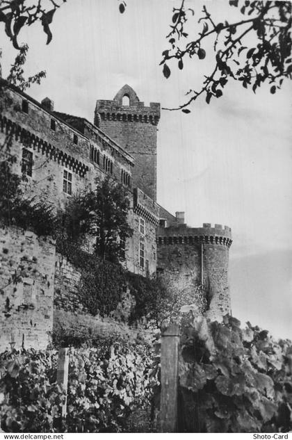 46 CAZALS CHATEAU DE CASTELNAU BRETENOUX