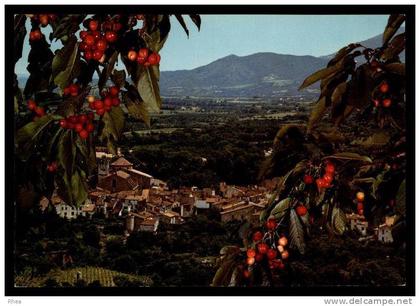 66 Céret vue aerienne D66D K66049K C66049C RH104705