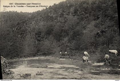 CPA Chambon Sur Voueize Gorges De La Voueize Troupeau Au Paturage