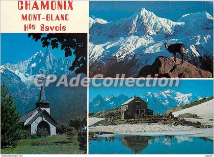 CPSM Chamonix Mont Blanc (Hte Sav)