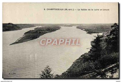 CPA Champtoceaux La Vallee De La Loire En Amont