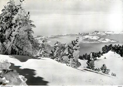 CPM Chamrousse Descente sur Roche Beranger
