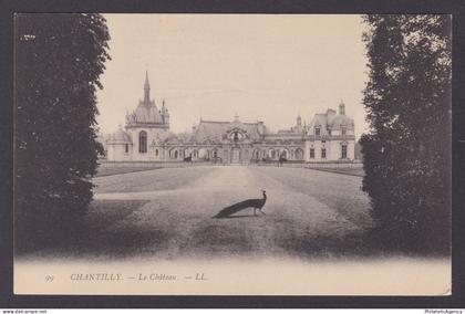 FRANCE, Postcard, Chantilly, Le Château