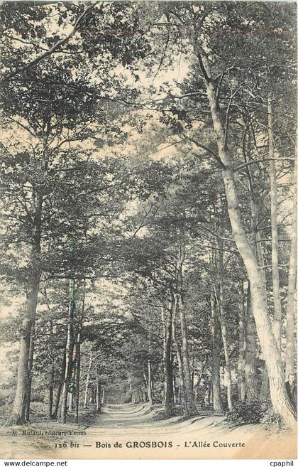 CPA Bois de Grosbois - l'allee couverte