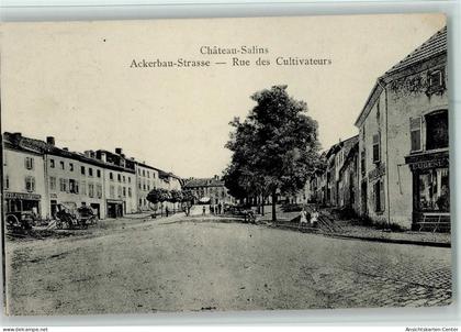 13056376 - Chateau-Salins