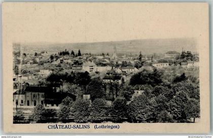 52306119 - Chateau-Salins