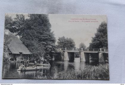 Cpa 1906, Châteaugiron, pont de Seiche, promenade renommée Ille et Vilaine 35