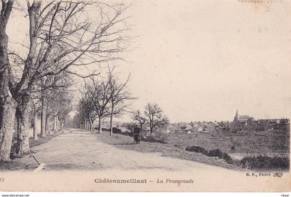 CHATEAUMEILLANT(ARBRE)