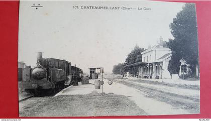 chateaumeillant , la gare avec  train