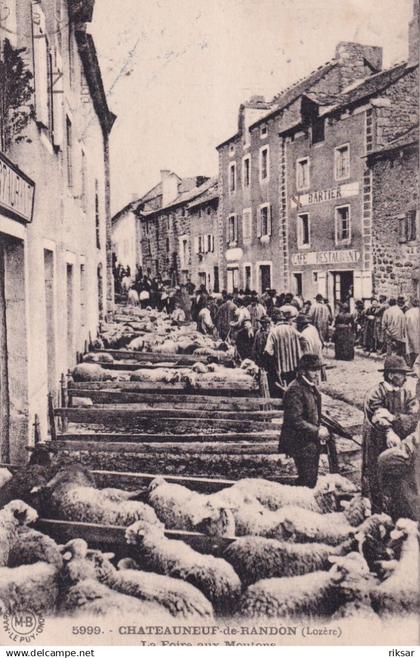 CHATEAUNEUF DE RANDON(FOIRE AUX MOUTON)