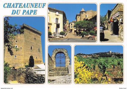 84 CHATEAUNEUF DU PAPE CHATEAU DE CHATEAUNEUF DU PAPE