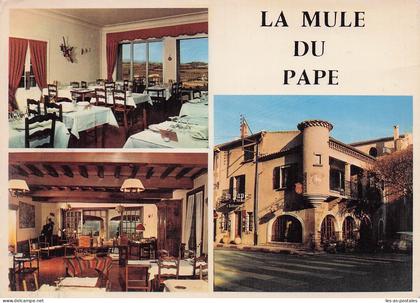 84 CHATEAUNEUF DU PAPE LA MULE DU PAPE