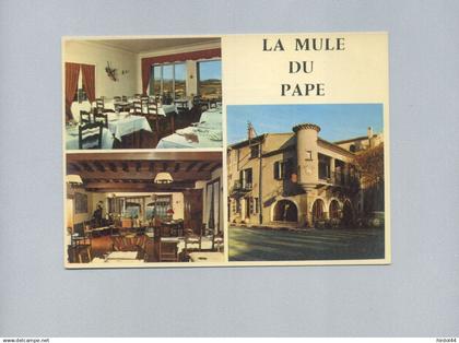 Chateauneuf du Pape (84) : La Mule du Pape