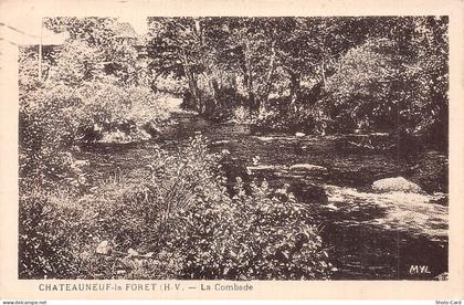 87 CHATEAUNEUF LA FORET LA COMBADE