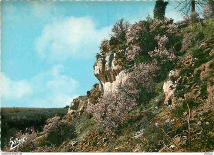 Carte Postale - 16 - Chateauneuf sur Charente - Les Rochers de La Font qui Pisse - Mention Photographie Véritable - Cart