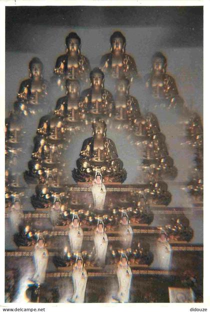 Carte Postale - 87 - Chateauponsac - Hameau des Bosnages Rançon - Les Bouddhas - Tung-Lam Linh Son International Dhammav