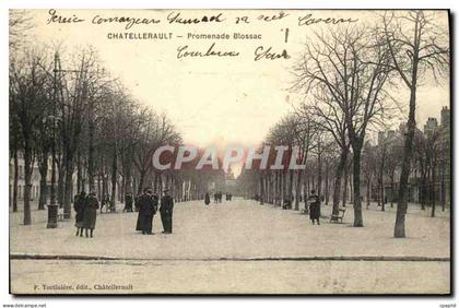 CPA Chatellerault Promenade Blossac