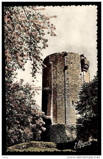 45 Châtillon-Coligny chateau donjon D45D K45085K C45085C RH064942