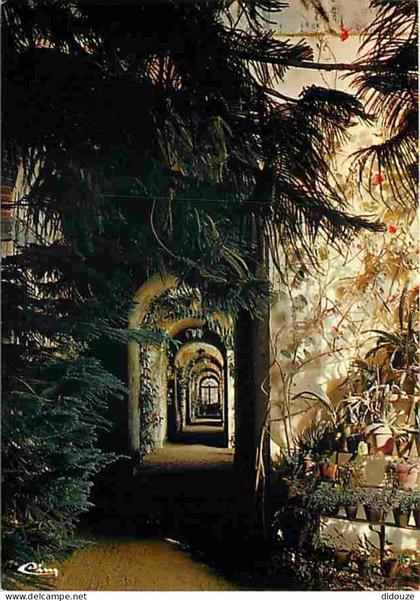 45 - Chatillon-Coligny - L'Orangerie - Carte Neuve - CPM - Voir Scans Recto-Verso