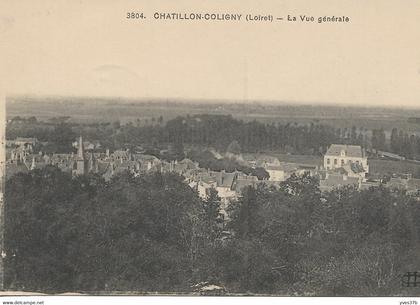 CHATILLON-COLIGNY - La Vue Générale