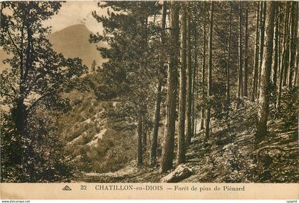 CPA Chatillon en Diois Foret de pins de Pienard