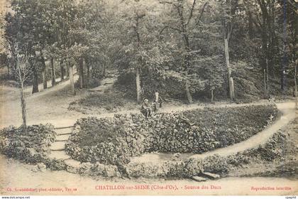 CPA Chatillon sur seine (cote d or) source des ducs