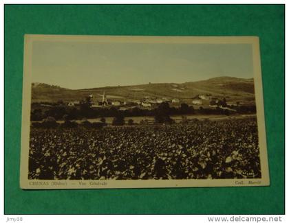 RHONE-CHENAS-VUE GENERALE