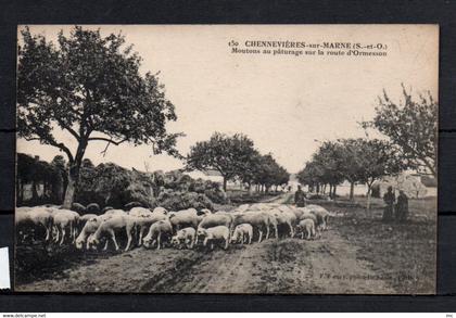 94 - Chennevières sur Marne - Mouton au Paturage sur la route d'Ormesson