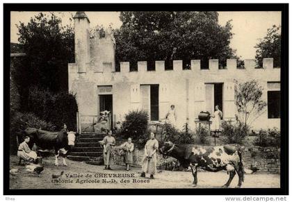 78 Chevreuse Vall?e CHEVREUSE - Colonie Agricole N-D. des Roses colonie agricole valle D78D K78160K C78160C RH012839