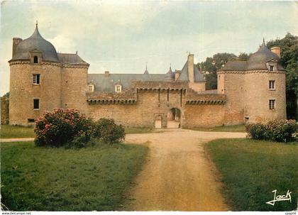 CPSM Chinon Le Pont