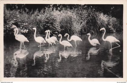 76 CLERES PARC ZOOLOGIQUE DE CLERES