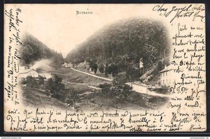 CPA Bussang, Le Col de Bussang