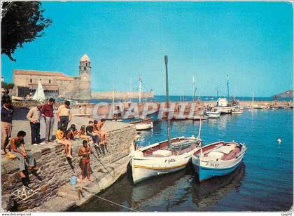 CPM Collioure Le Port L'Eglise
