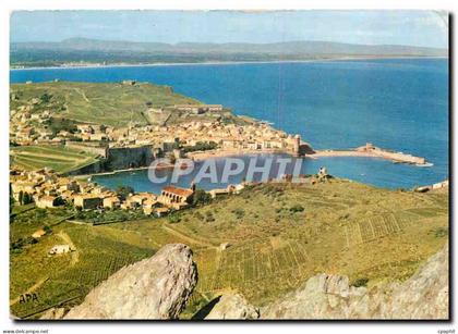CPM En Parcourant la Cote Vermeille Collioure P O Vue panoramique sur Collioure au fond la Plage d'a
