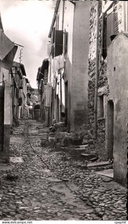 CPSM Collioure Vieille Rue