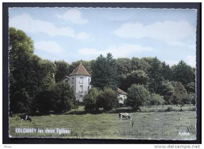 52 Colombey-les-Deux-Églises chateau    D52D  K52253K  C52140C RH042193