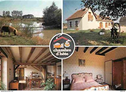 41 - Contres - Chambre d'Hote - Gite Rural - La Mènerie - Multivues - Chevaux - Poneys - CPM - Voir Scans Recto-Verso