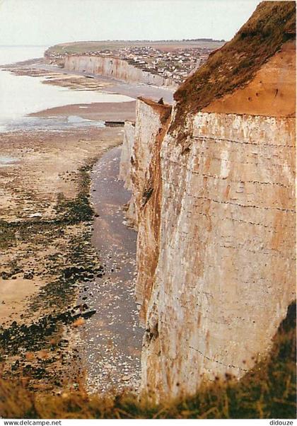 76 - Criel sur Mer - Les falaises - Carte Neuve - CPM - Voir Scans Recto-Verso