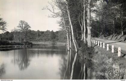 CPM 14 crocq (creuse) etang de basvillette