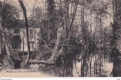 CROSNE(ARBRE)