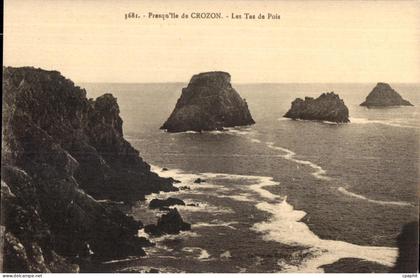 CPA Presqu ile de Crozon les tas de Pois