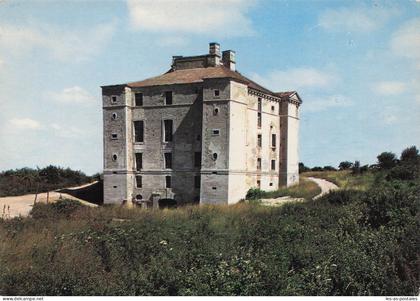 89 CRUZY LE CHATEL LE CHATEAU DE MAULNES