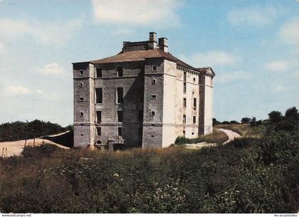 89 CRUZY LE CHATEL LE CHATEAU DE MAULNES