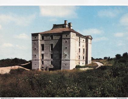 89 CRUZY LE CHATEL LE CHATEAU DE MAULNES